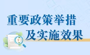 重要政策举措及实施效果相关图片